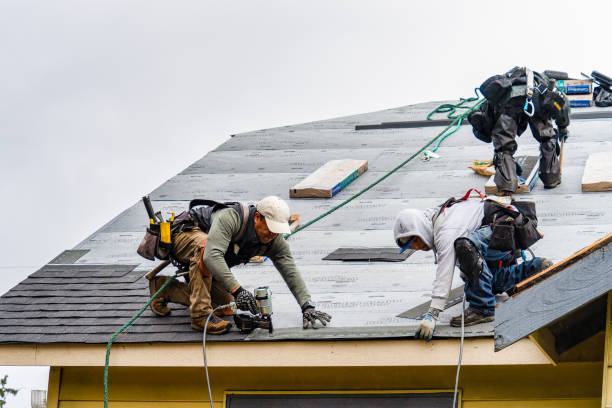 Professional Gutter Installation technician working in Lavinia, TN